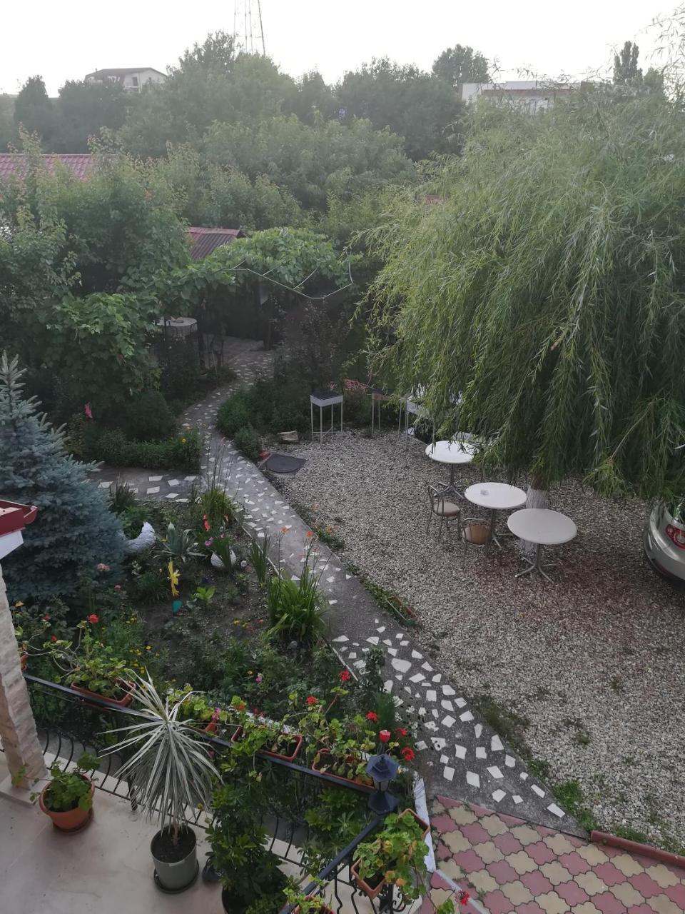 Casa Dalena Hotel Costinesti Ngoại thất bức ảnh